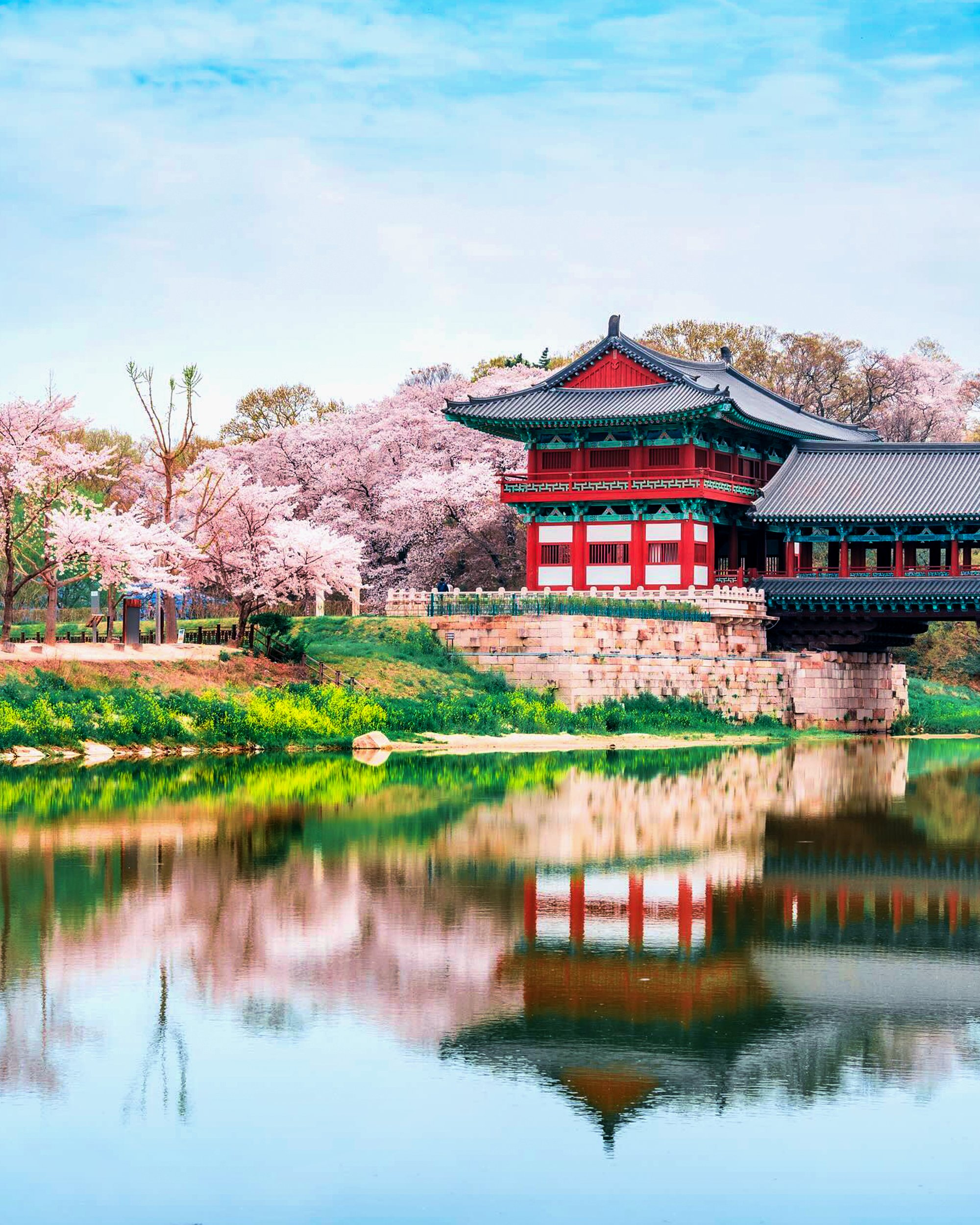 立春を過ぎたら行きたい春の慶州、韓屋と桜のやさしい景色