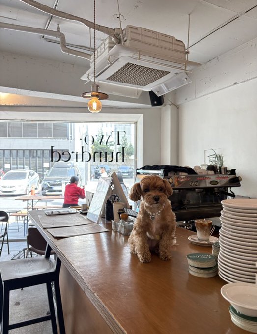 テラスも気持ちよさそう 新沙Two hundredのアイス乗せワッフルにハマりました