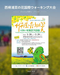 済州・西帰浦で菜の花ウォーキング大会開催