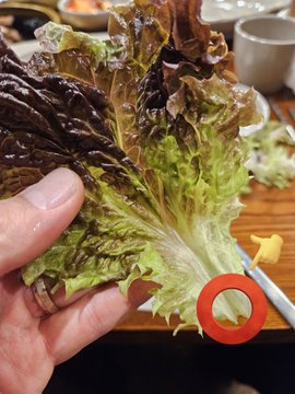 サンチュの“矢印部分”を食べると眠くなる？謎の都市伝説、信じますか？