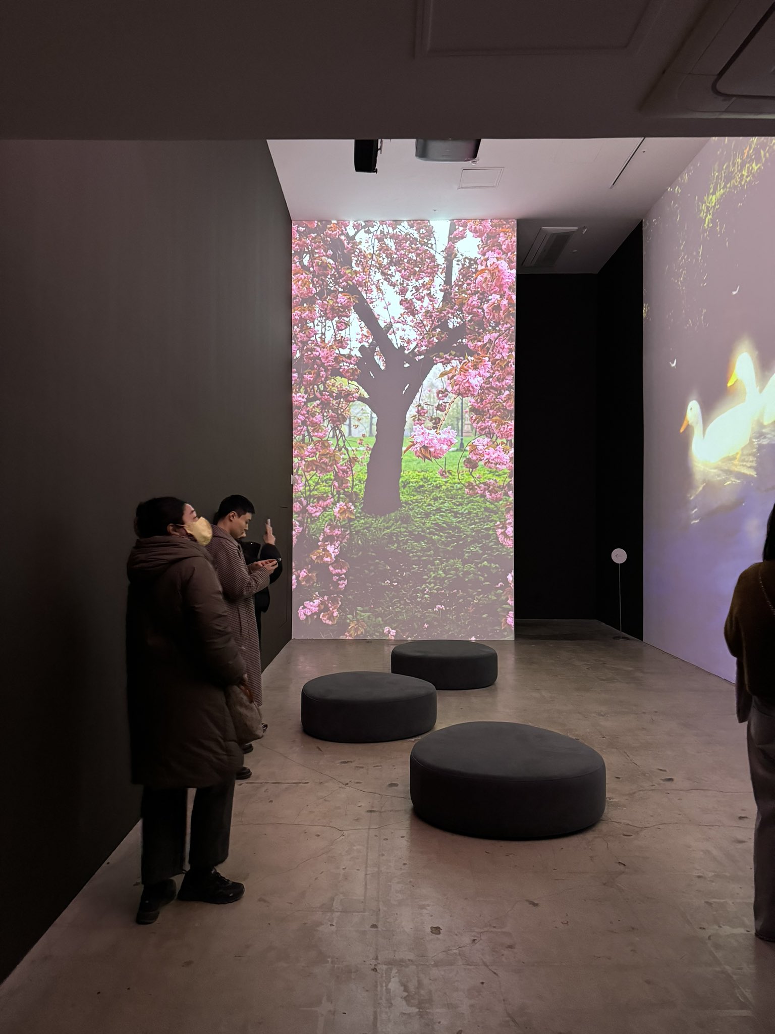 アート好きは絶対行ってほしい piknicの展示と雑貨が最高だった