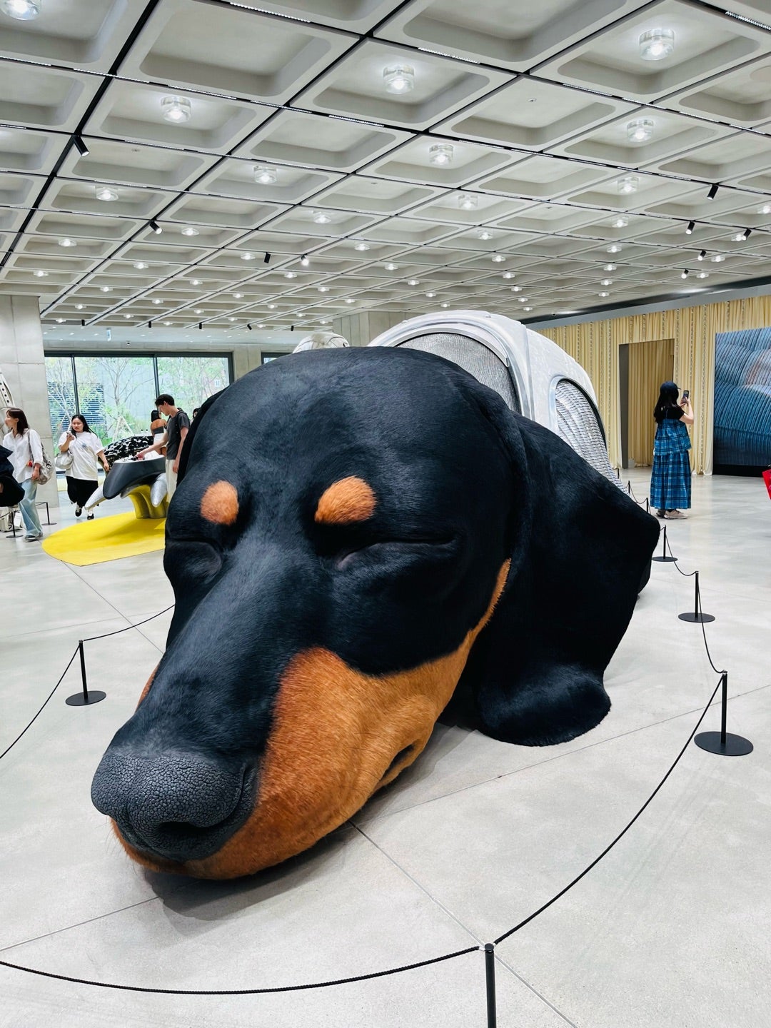 ジェントルモンスターからタンバリンズまで　感性を刺激する最新空間