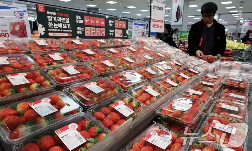 韓国でイチゴ高騰止まらず　サムギョプサルより高い異常事態に