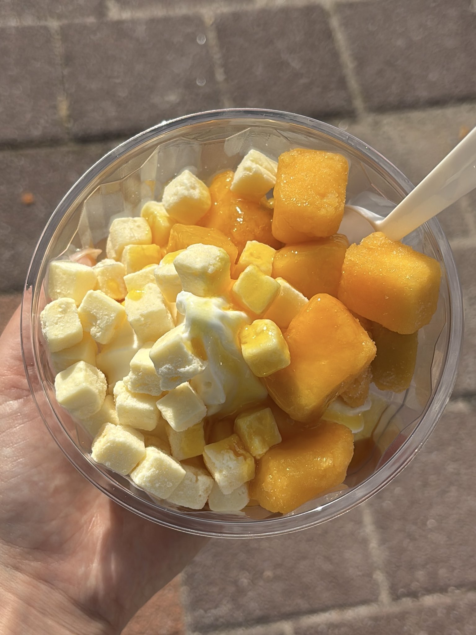 ヨーグルトアイス好き必見　コスパ最強はGOMANGOだった