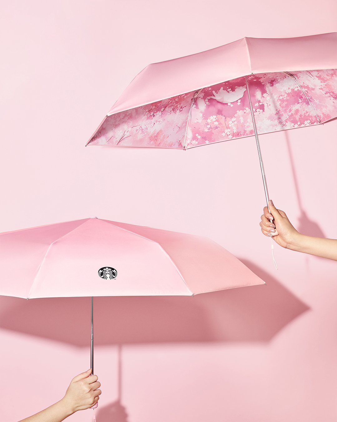 韓国スタバ春MD公開、猫×桜デザインが登場