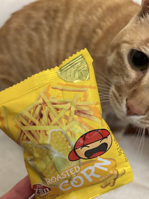 美味しくてリピ確！甘じょっぱ系のミニ駄菓子『콘스틱』がクセになる