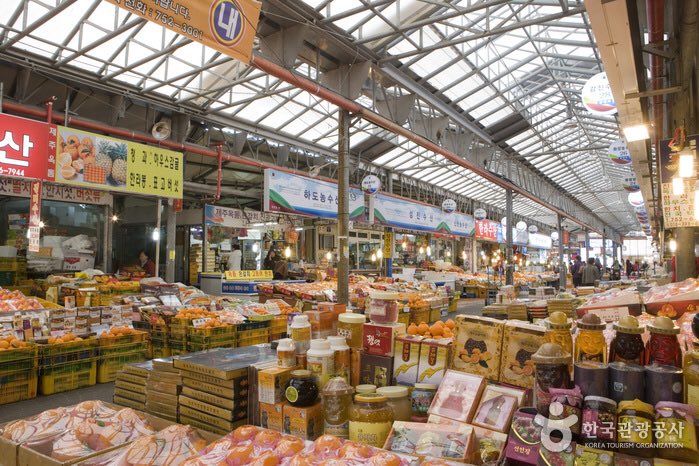 済州島・東門在来市場で味わう本場グルメ