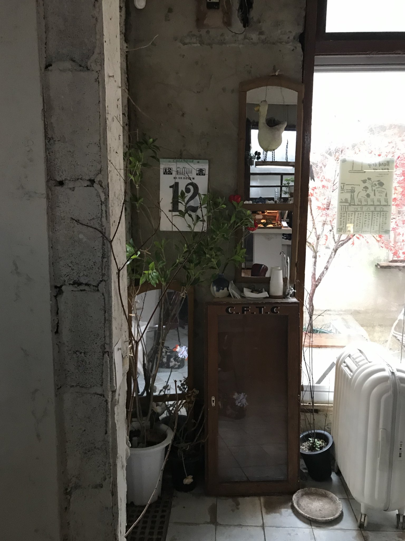 釜山カフェ巡りで人気「팟오브부산」　写真映えする空間が話題