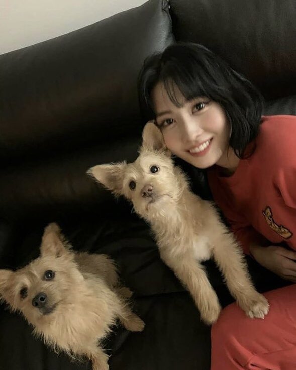 TWICEモモ「犬3匹？」発言でスタジオ騒然　視聴者は“彼氏バレ”疑惑も