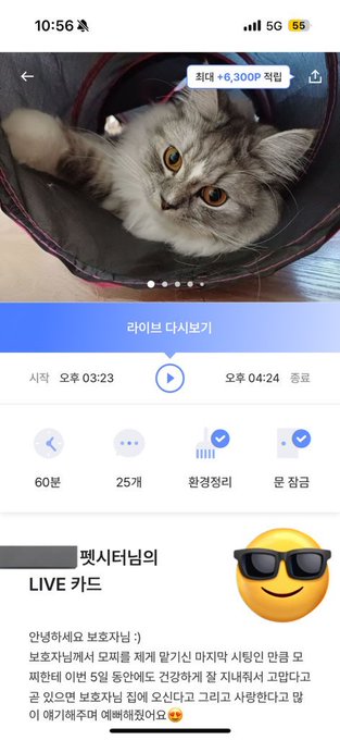 韓国在住旅行中のペット問題、私はこのアプリで解決してます