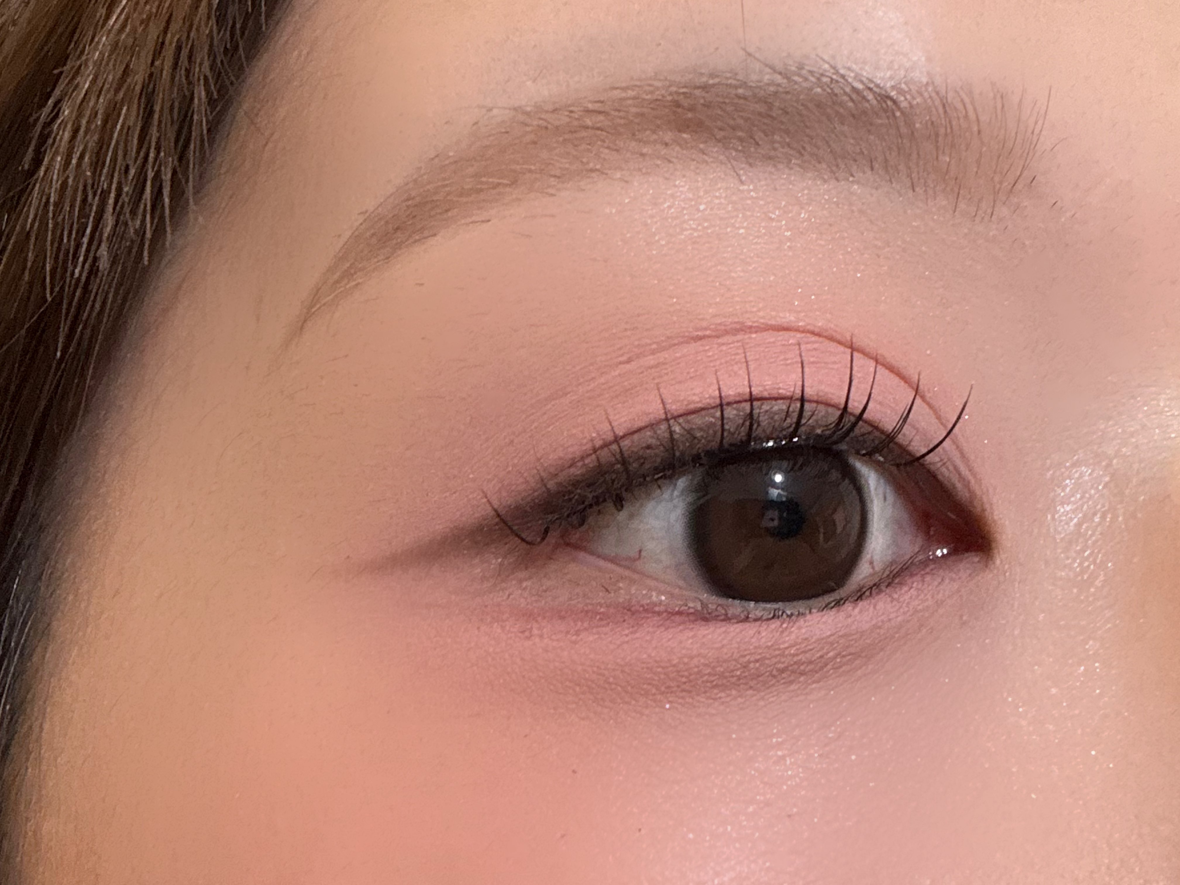 バニラコ　ノーグルーつけまが優秀すぎた