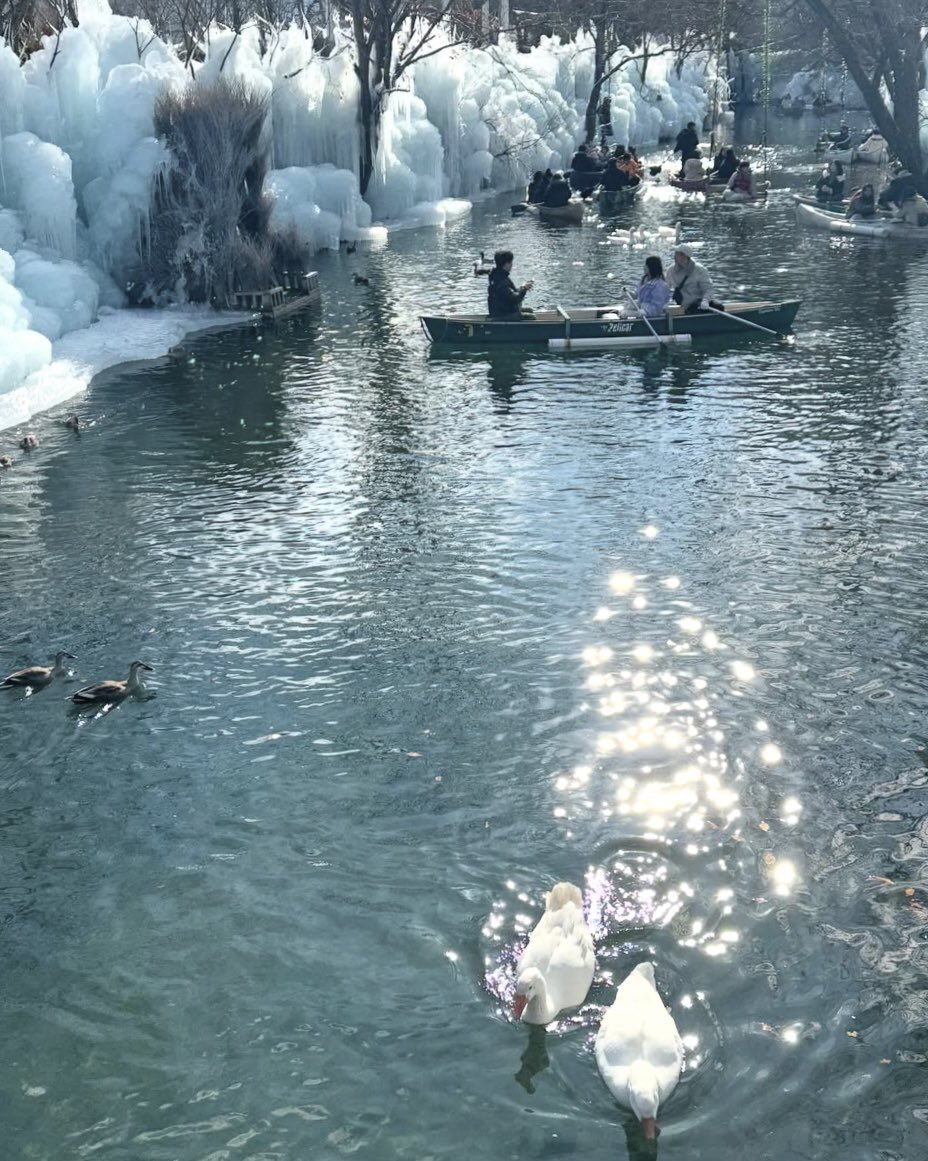 冬の韓国旅行❆慶州で話題の氷カヌー体験　幻想的すぎる景色