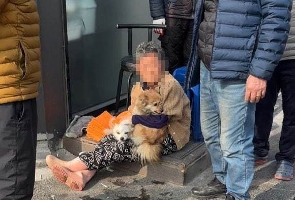 火災で呼吸停止の犬を救出　消防隊員の心肺蘇生で奇跡の回復