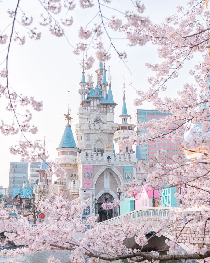 3月の韓国旅行　気温差に注意