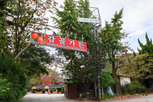 釜山・機張旅行で立ち寄りたい「長安カムゴルガーデン」まとめ