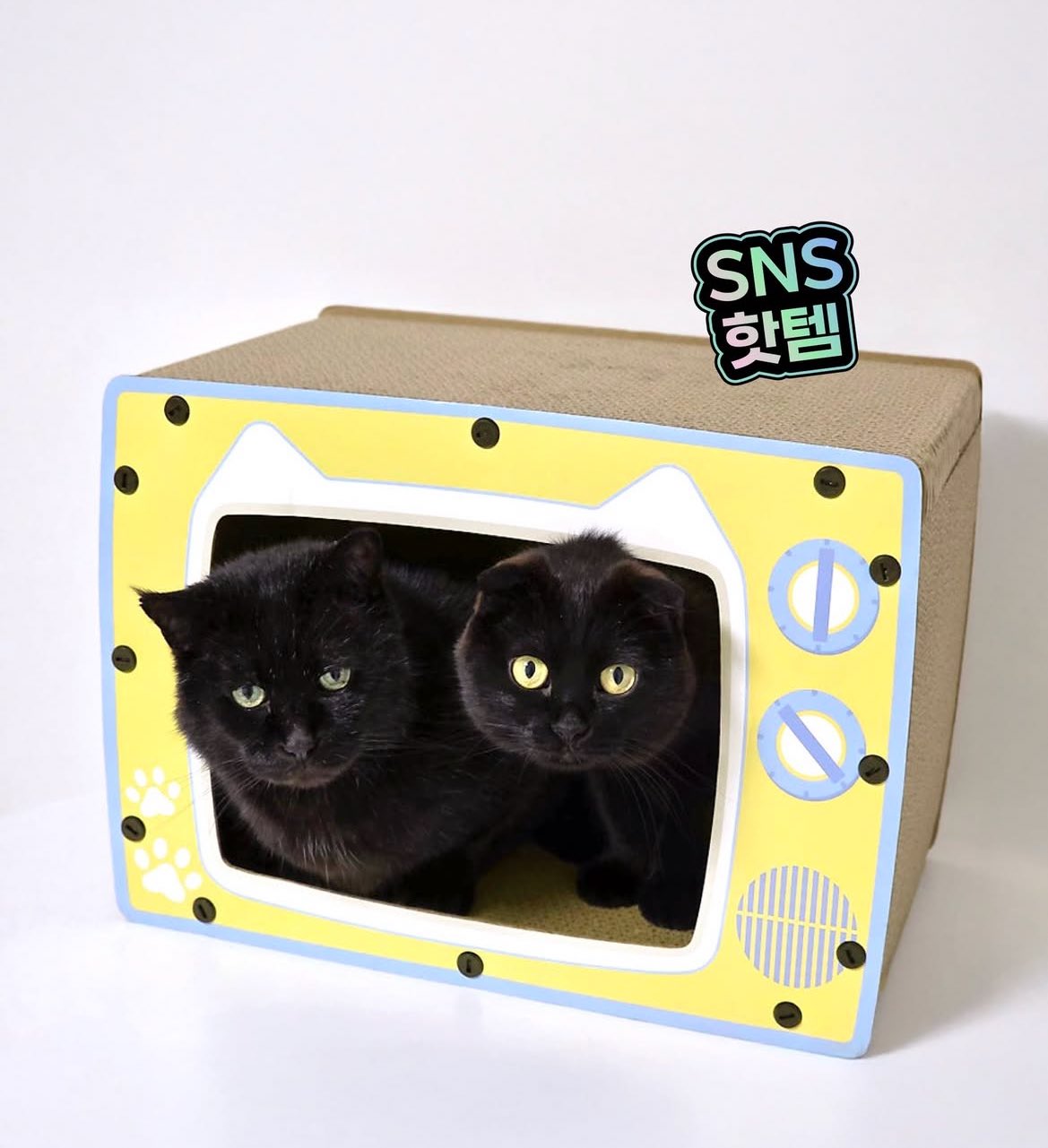 5,000ウォンで猫ハウス　韓国ダイソーのTV型爪研ぎが人気