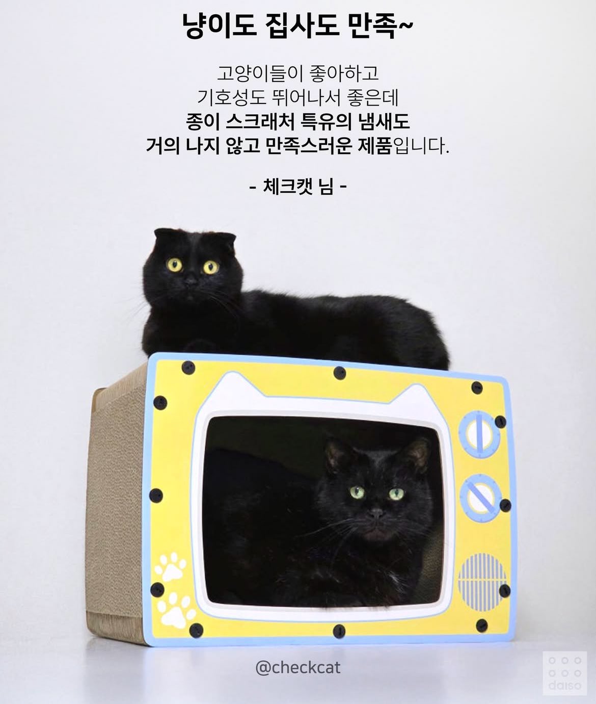 5,000ウォンで猫ハウス　韓国ダイソーのTV型爪研ぎが人気