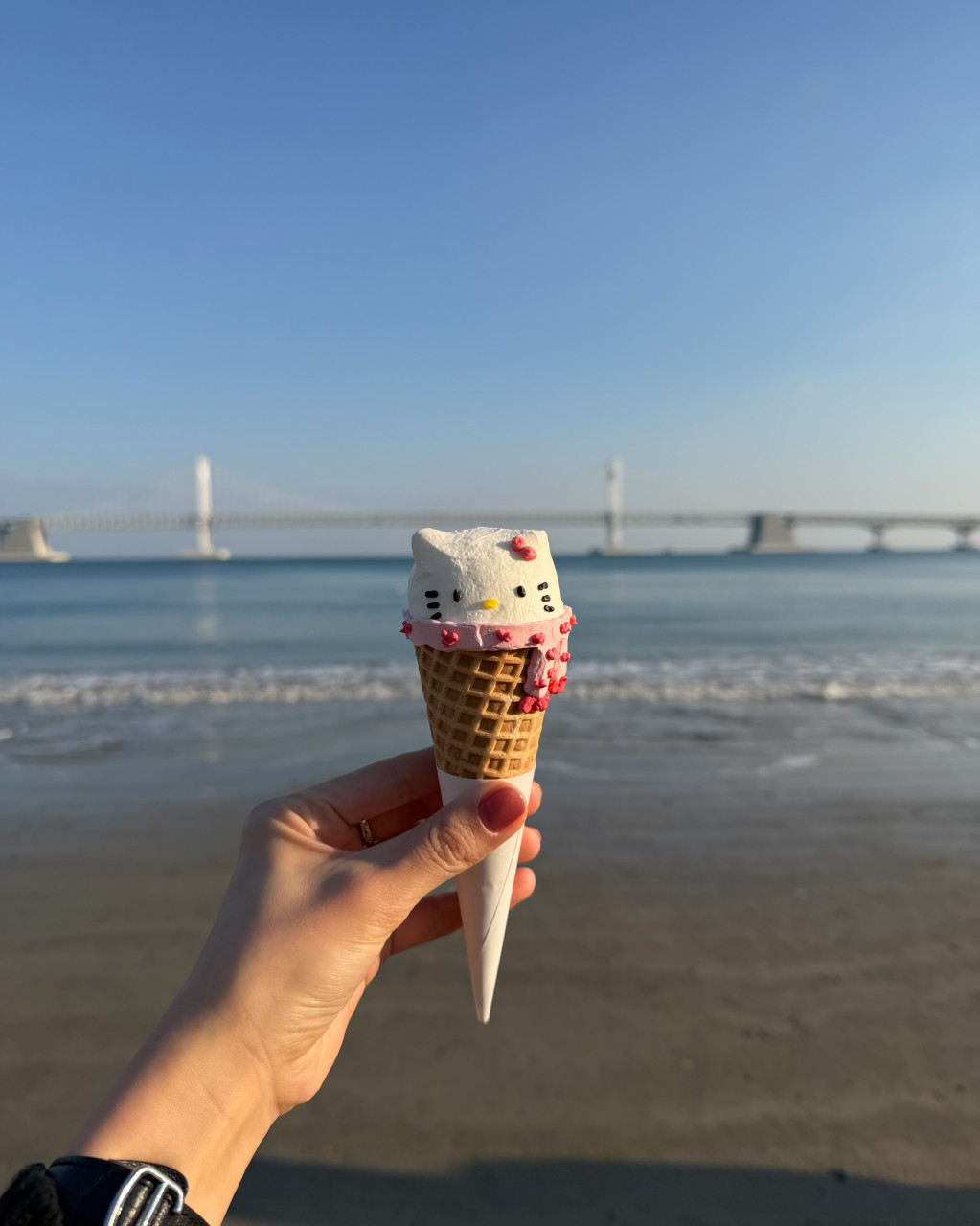釜山で発見、キティアイスクリームケーキ